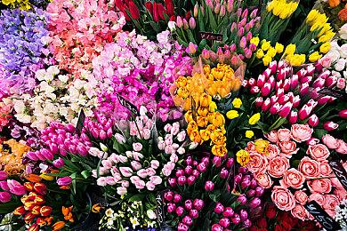 Steam最新特惠开启 多款游戏大作再度史低